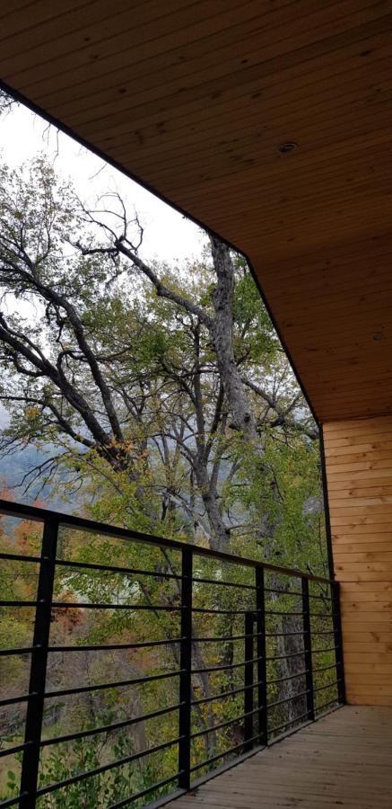 Vivelodge Las Trancas Zewnętrze zdjęcie